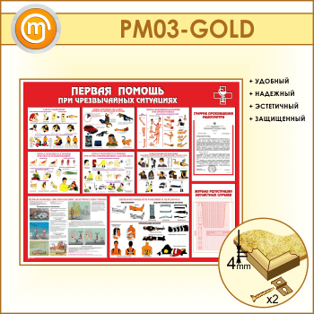            (PM-03-GOLD)